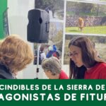 Fitur alpedrete - Ayuntamiento