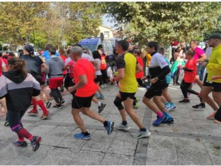 Imagen de la noticia X Carrera solidaria Las Dehesas