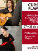 Imagen de la noticia Curso de aproximación al flamenco