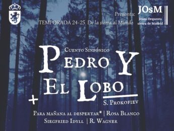 Imagen de la noticia Concierto de Año Nuevo. Joven Orquesta Sierra de Madrid