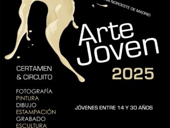 Imagen de la noticia XXII Edición del Circuito de Arte Joven