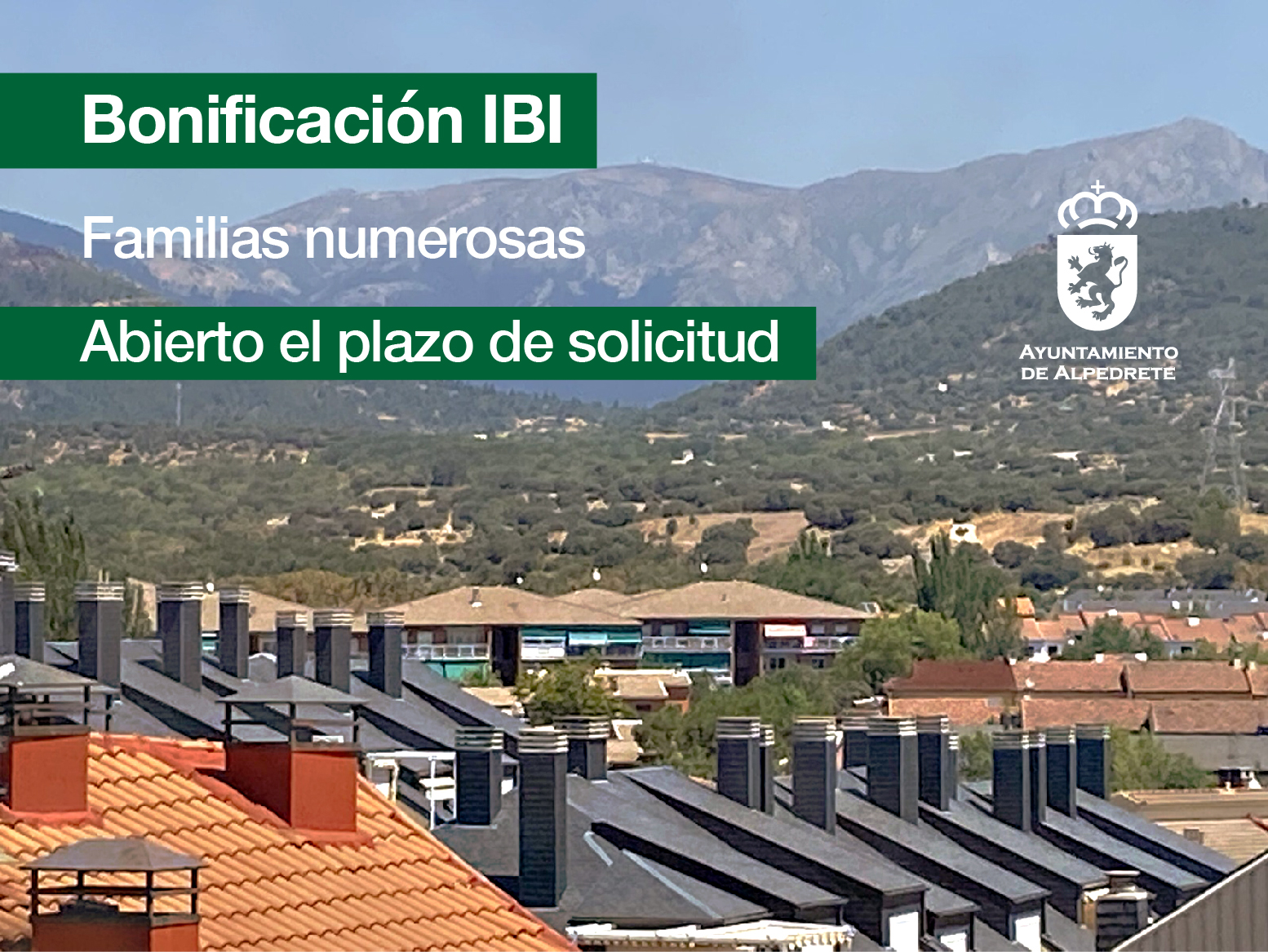 Imagen de la noticia Bonificación del IBI para familias numerosas